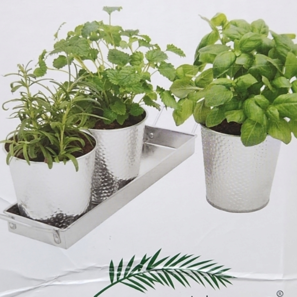 Saratoga Home Galvanized Planter Pots with Tray Set